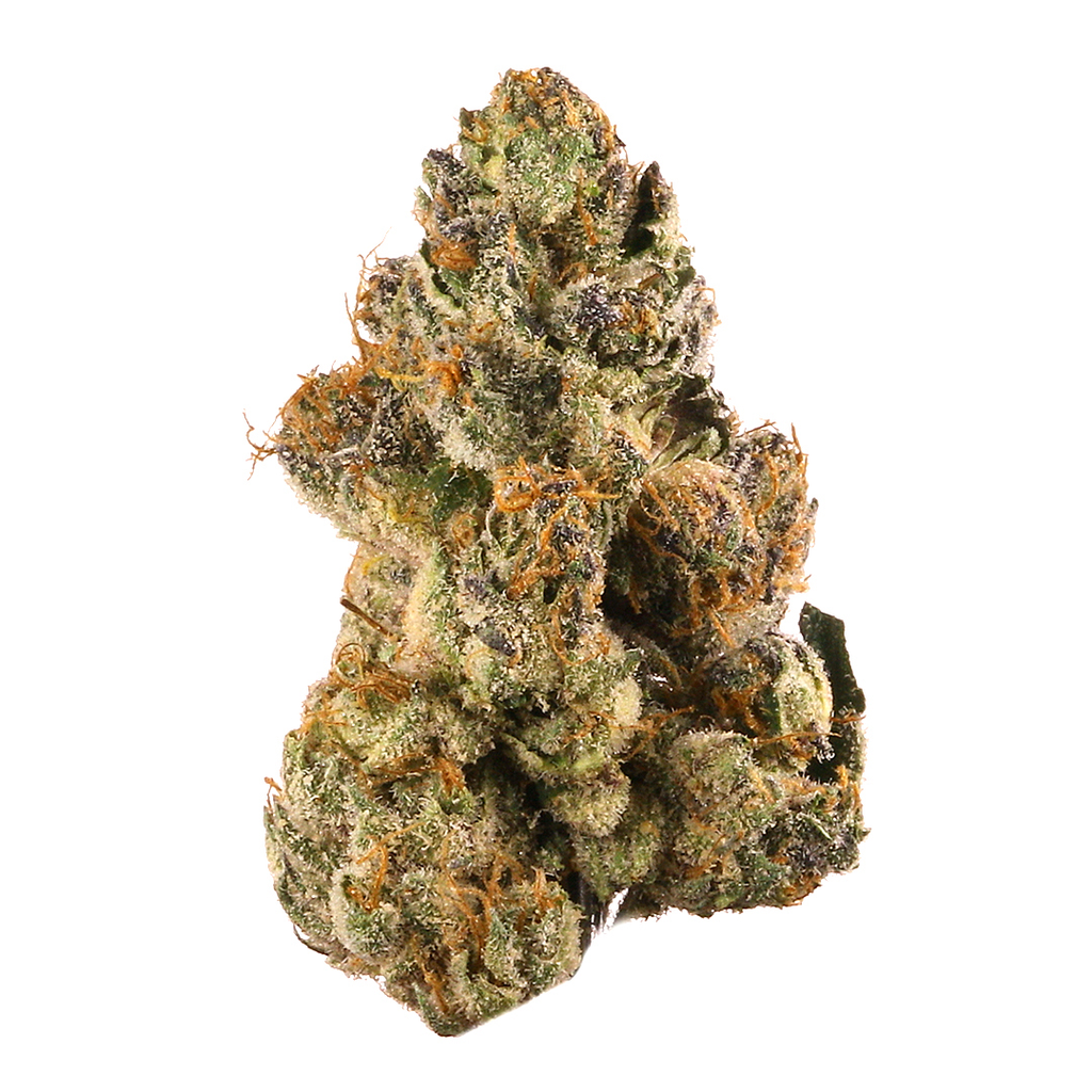 Gelato Punch THCA