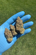 Red Pave Indoor THCA